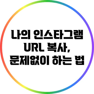 나의 인스타그램 URL 복사, 문제없이 하는 법