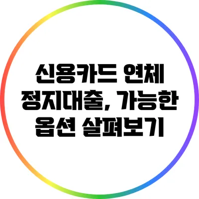 신용카드 연체 정지대출, 가능한 옵션 살펴보기