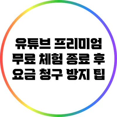 유튜브 프리미엄 무료 체험 종료 후 요금 청구 방지 팁