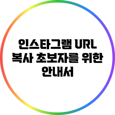 인스타그램 URL 복사: 초보자를 위한 안내서