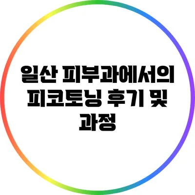 일산 피부과에서의 피코토닝 후기 및 과정