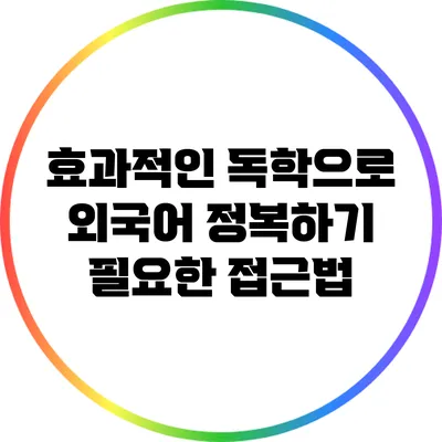 효과적인 독학으로 외국어 정복하기: 필요한 접근법