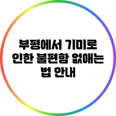 부평에서 기미로 인한 불편함 없애는 법 안내