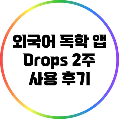 외국어 독학 앱 Drops: 2주 사용 후기