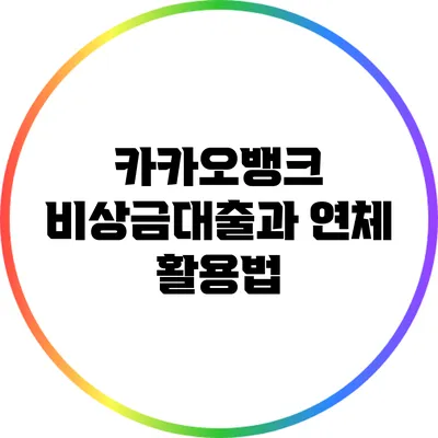 카카오뱅크 비상금대출과 연체 활용법