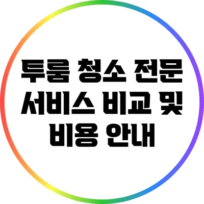 투룸 청소 전문 서비스 비교 및 비용 안내