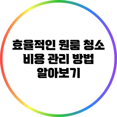 효율적인 원룸 청소 비용 관리 방법 알아보기