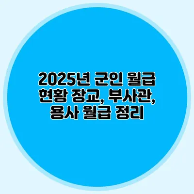 2025년 군인 월급 현황: 장교, 부사관, 용사 월급 정리