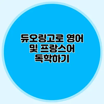 듀오링고로 영어 및 프랑스어 독학하기