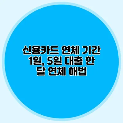 신용카드 연체 기간 1일, 5일 대출 한 달 연체 해법