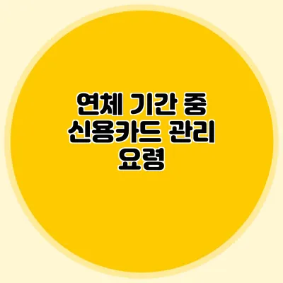 연체 기간 중 신용카드 관리 요령