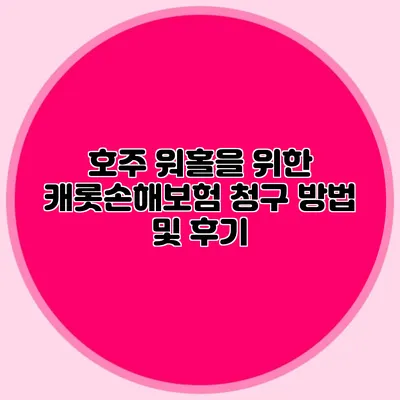 호주 워홀을 위한 캐롯손해보험 청구 방법 및 후기