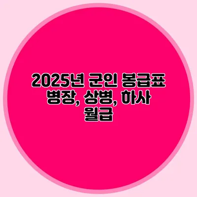 2025년 군인 봉급표 병장, 상병, 하사 월급