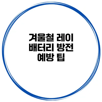 겨울철 레이 배터리 방전 예방 팁