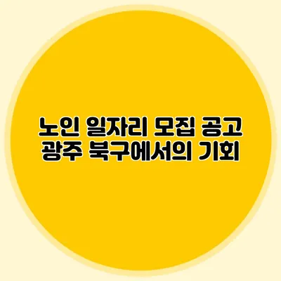 노인 일자리 모집 공고 광주 북구에서의 기회