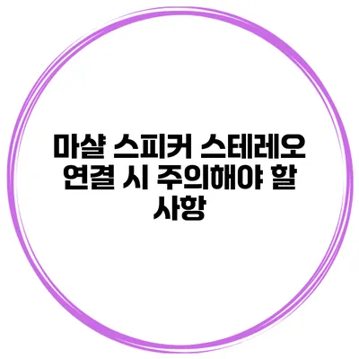 마샬 스피커 스테레오 연결 시 주의해야 할 사항