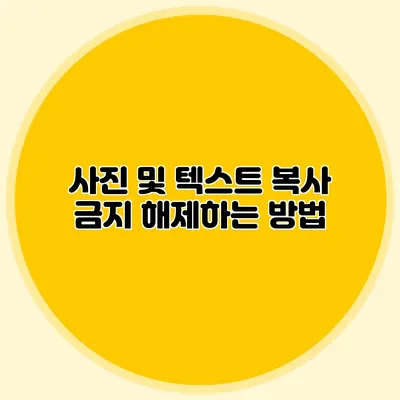 사진 및 텍스트 복사 금지 해제하는 방법