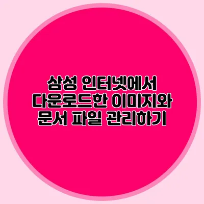 삼성 인터넷에서 다운로드한 이미지와 문서 파일 관리하기
