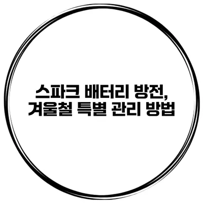 스파크 배터리 방전, 겨울철 특별 관리 방법